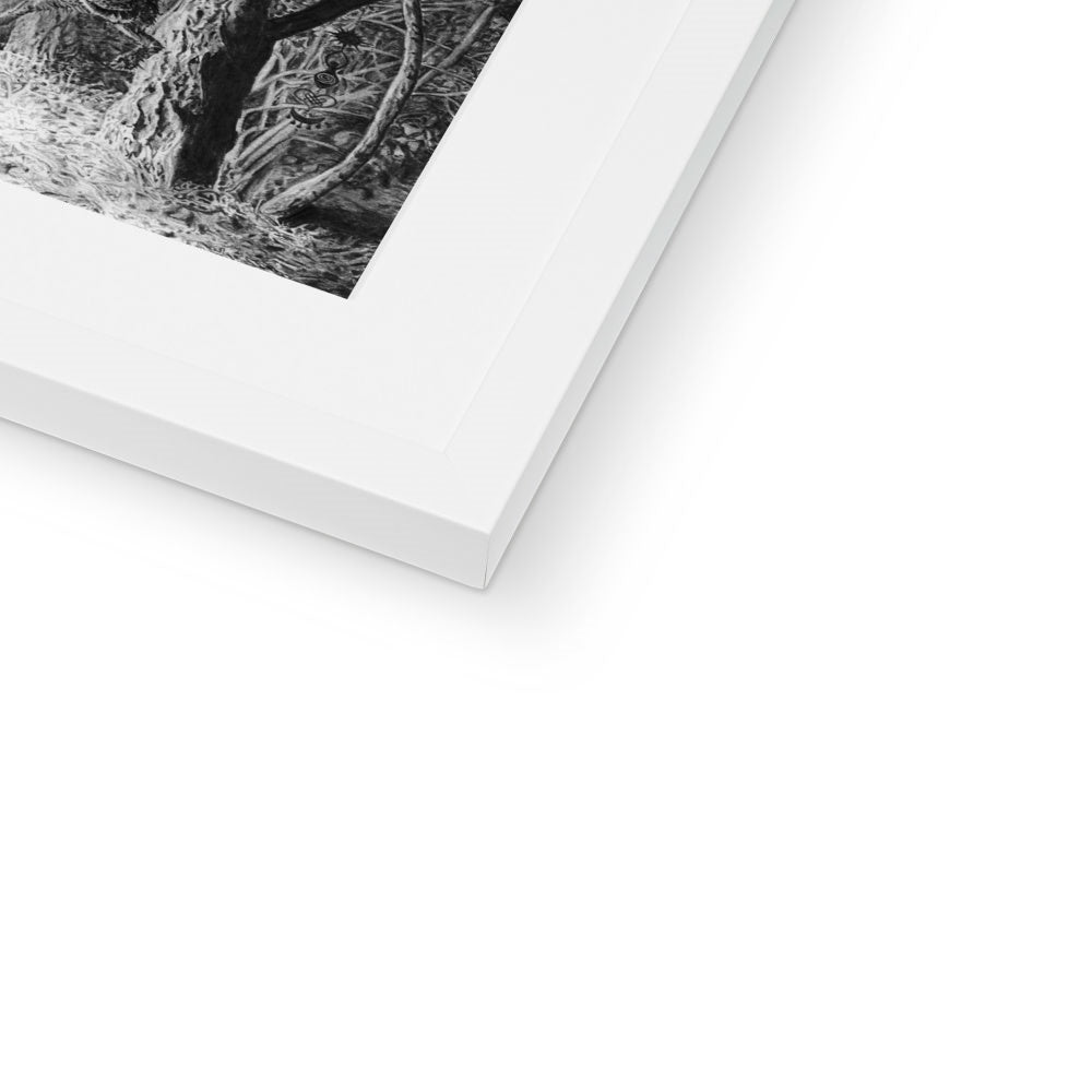 'Forever Forest' Framed & Mounted Print