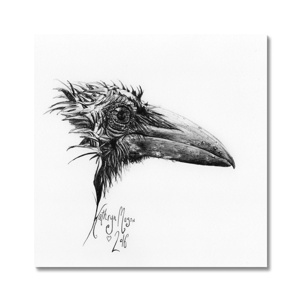 Photo of 'Little Crow Study' Fine Art Print taken from Kathryn Mason's original crows raven drawing of a bedraggled lil crow