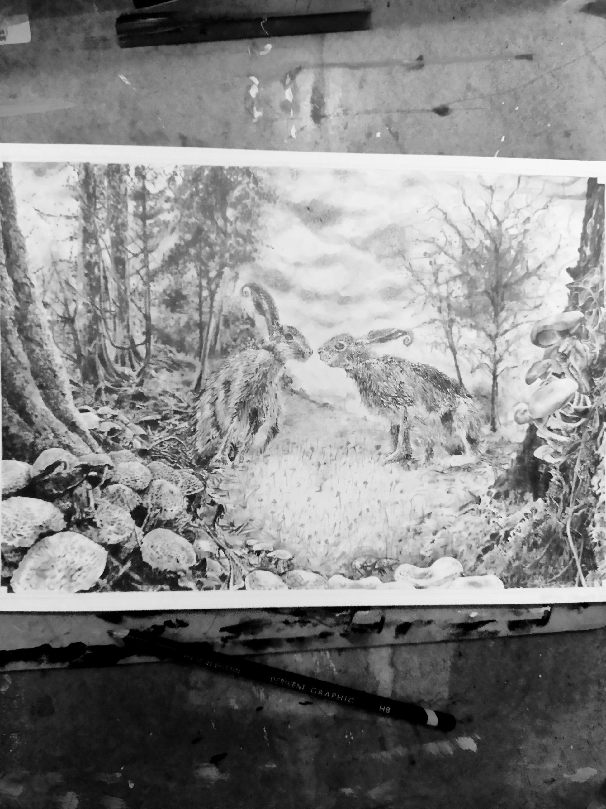 Photo 'Loved-up Hares, As The First Frost Falls' Kathryn Mason's one of a kind, Original handmade, highly detailed graphite pencil drawing on the drawing board with pencil.