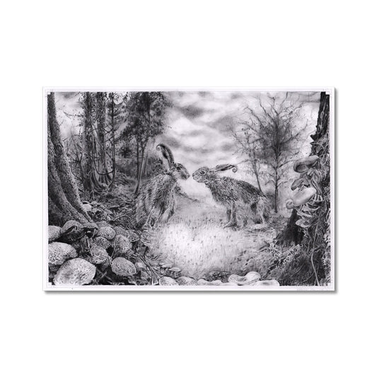 'Loved-up Hares, As The First Frost Falls'  - Fine Art Print